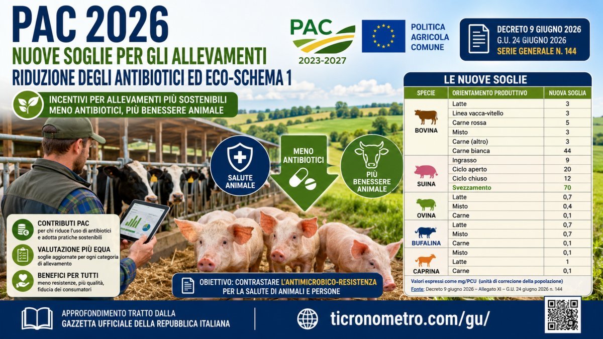 PAC 2026: nuove soglie per gli allevamenti e incentivi alla riduzione degli antibiotici, cosa cambia con l'Eco-schema 1