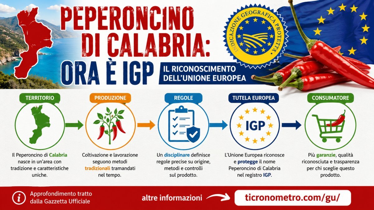 Peperoncino di Calabria diventa IGP: cosa cambia con il riconoscimento europeo