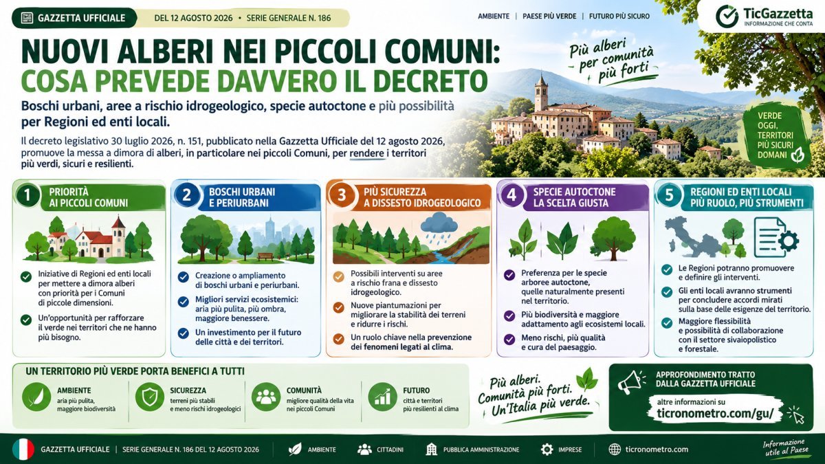 Nuovi alberi nei piccoli Comuni: boschi urbani, terreni pubblici e specie autoctone nel decreto 151/2026