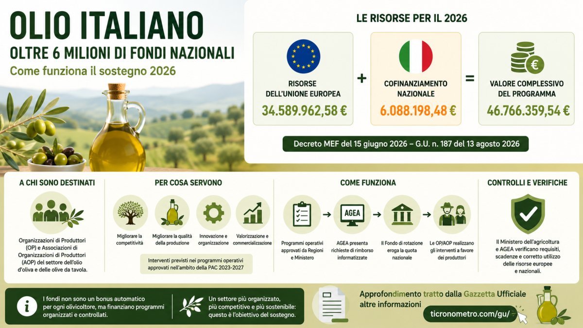 Olio d'oliva, oltre 6 milioni di fondi nazionali nel 2026: chi può beneficiarne e come funzionano gli aiuti