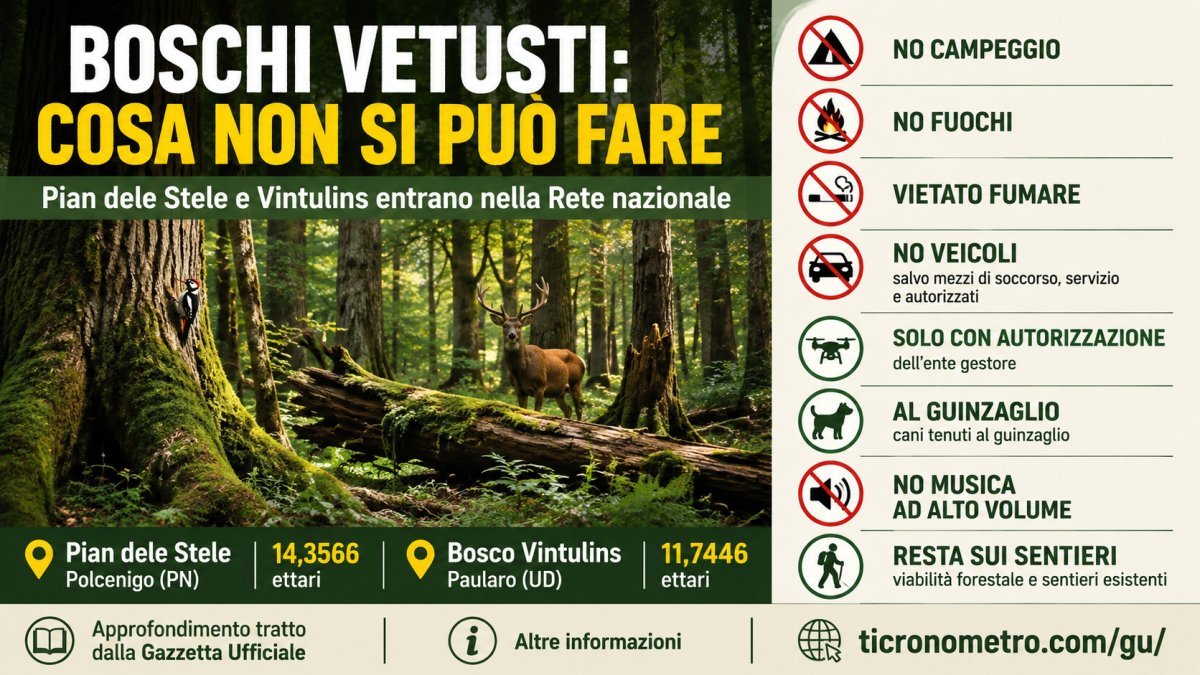 Boschi vetusti 2026: Pian dele Stele e Vintulins, tutti i divieti per escursionisti e visitatori