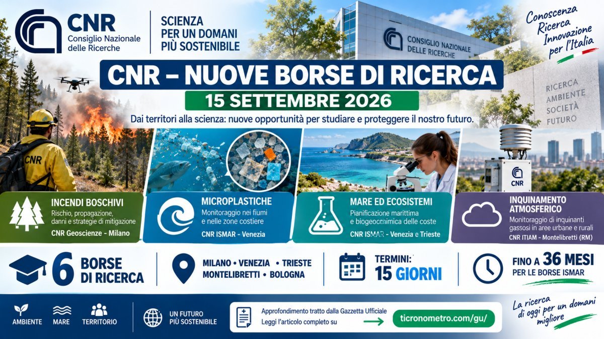 Borse di ricerca CNR 2026: selezioni su incendi, microplastiche, mare e inquinamento