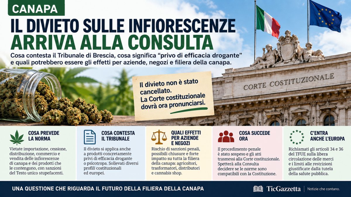Canapa e infiorescenze, divieto alla Corte Costituzionale: cosa può cambiare per aziende e negozi