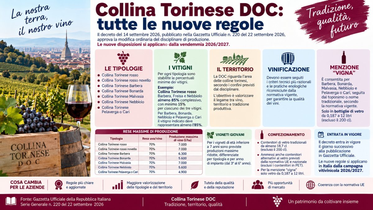 Collina Torinese DOC 2026/2027: nuove regole su vitigni, rese, menzione “vigna” e imbottigliamento