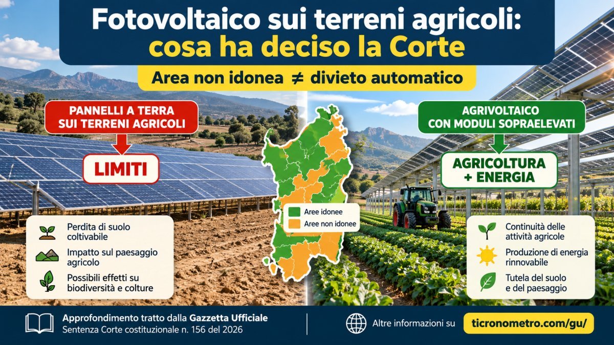 Fotovoltaico sui terreni agricoli, la Corte costituzionale chiarisce i limiti: cosa cambia per agrivoltaico e aree non idonee
