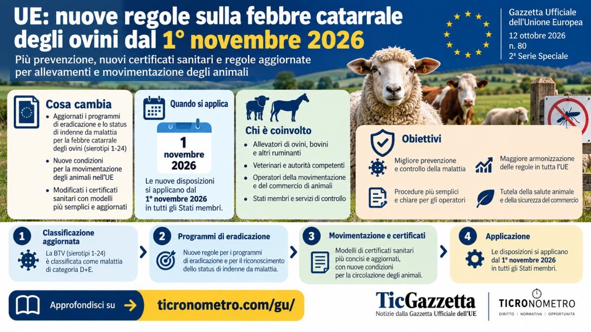 Bluetongue, nuove regole UE per allevamenti dal 1° novembre 2026