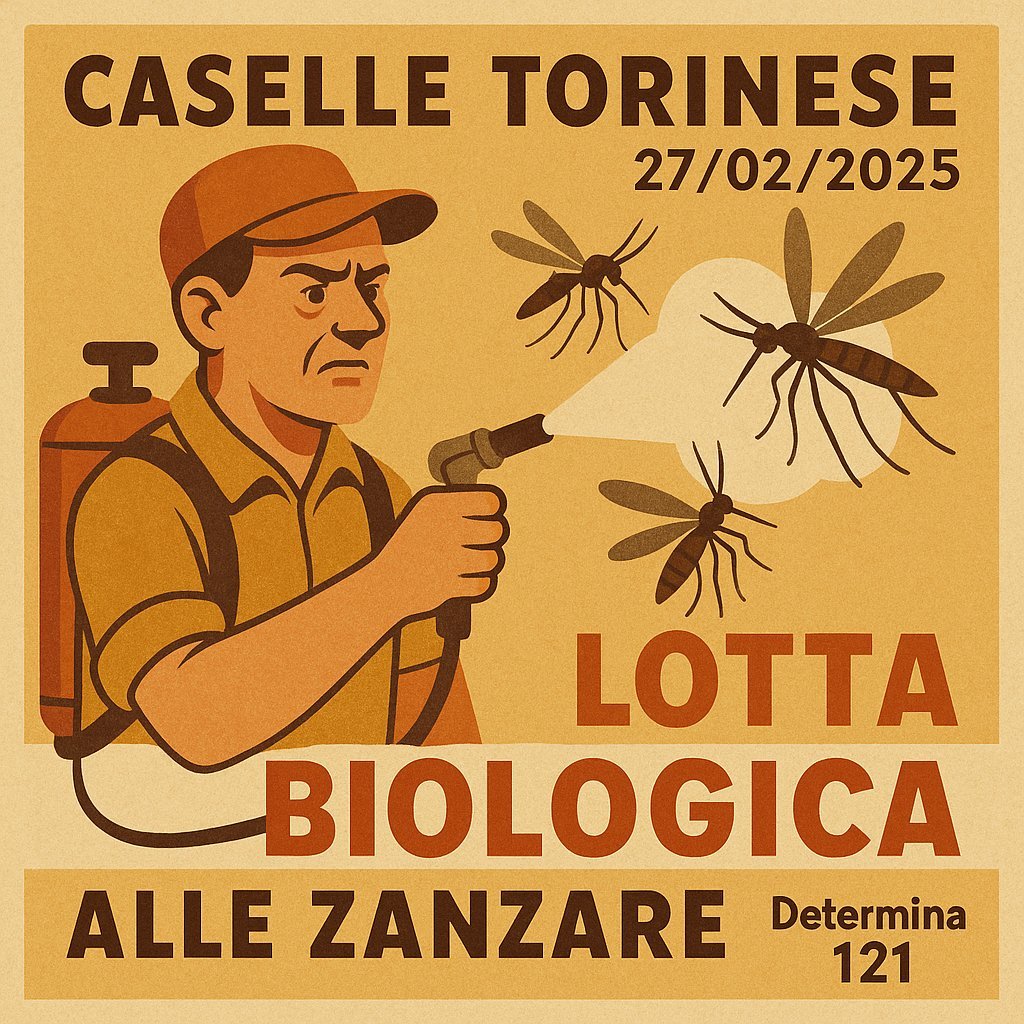 Determinazione
