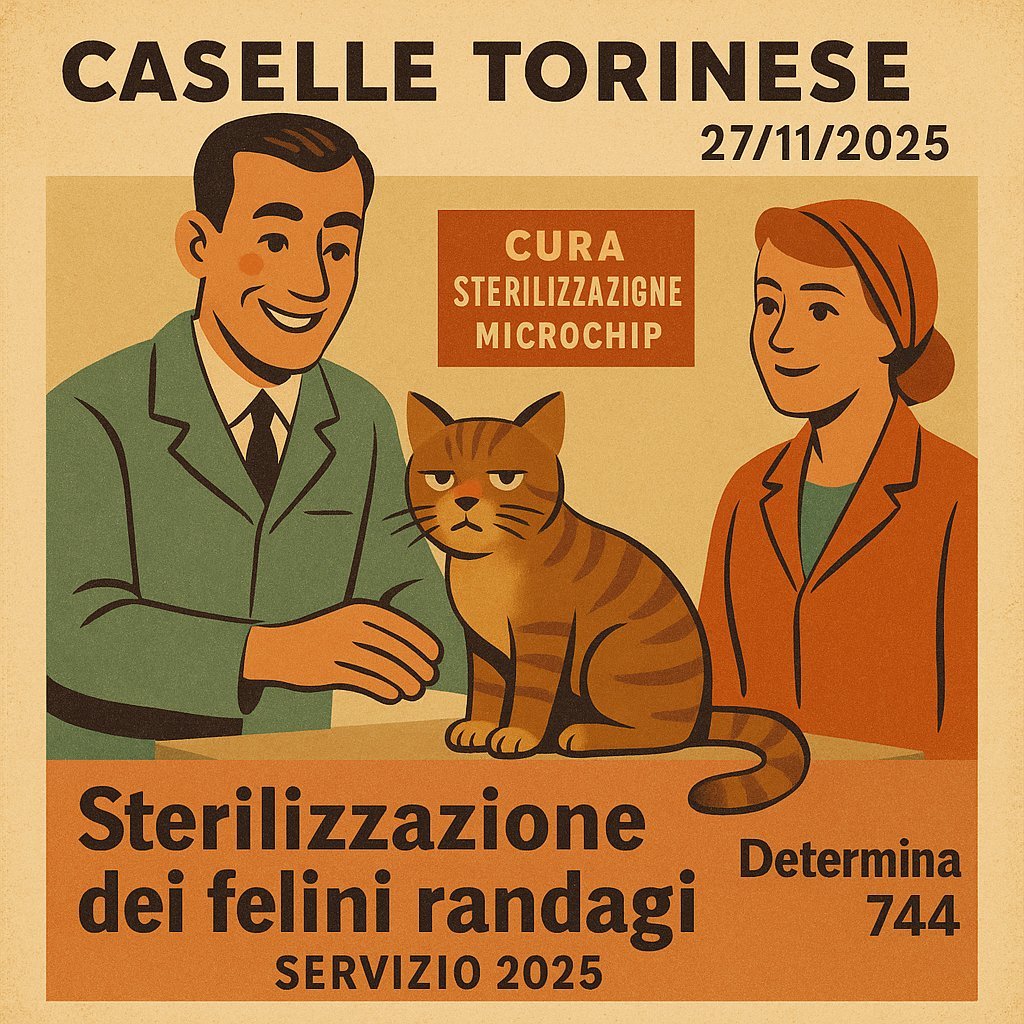 Determinazione