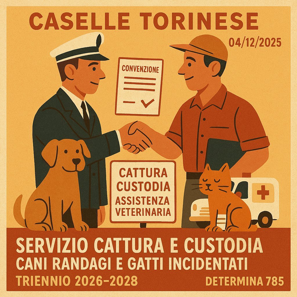 Determinazione