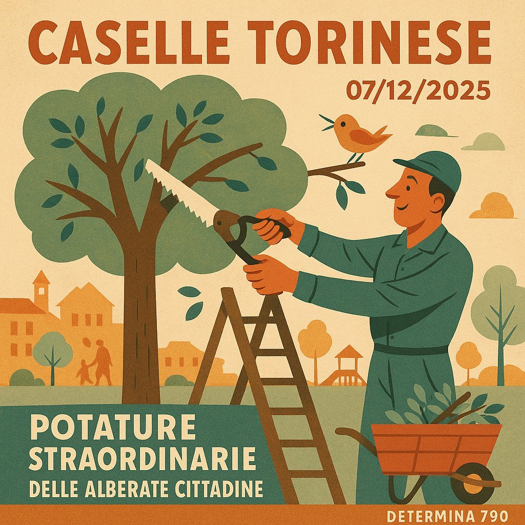 Determinazione