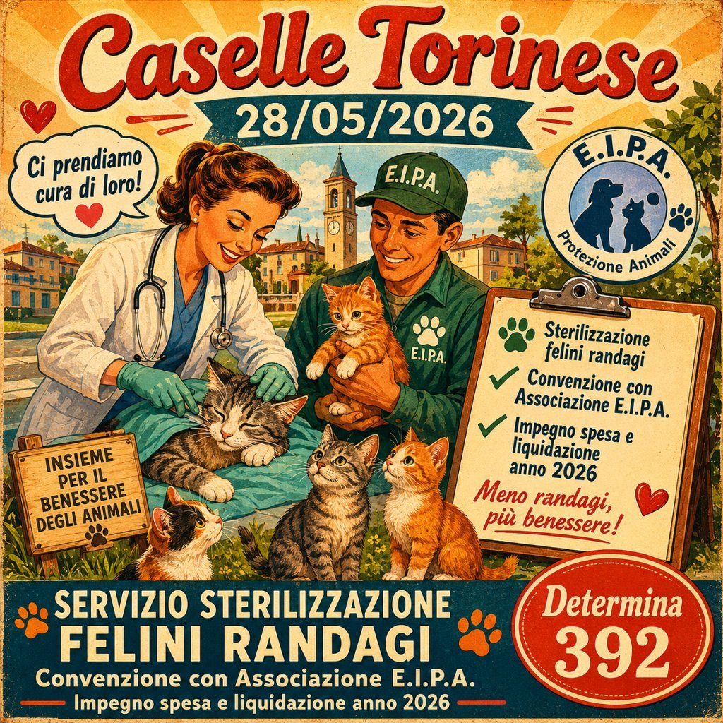 Determinazione
