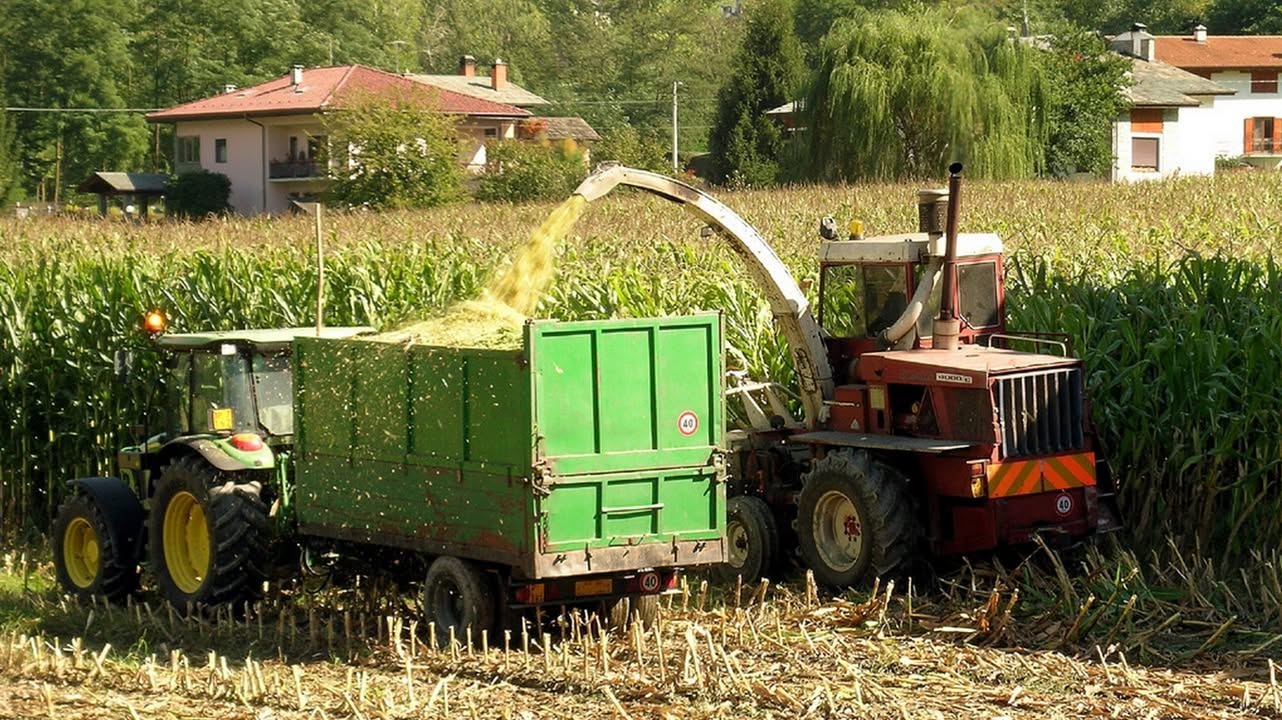 Ammonta a 1 milione e 850mila euro la somma stanziata dalla Regione Piemonte…