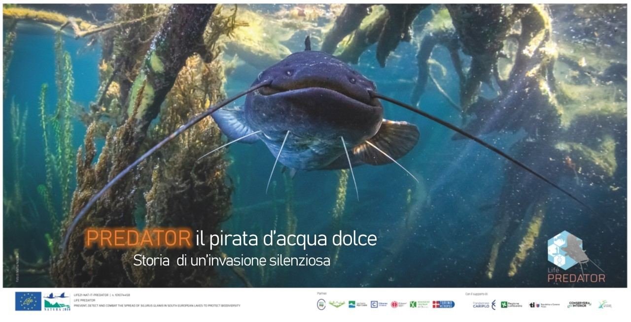 🦈 La tutela dell’ambiente, la forza della cooperazione scientifica e la sfida…