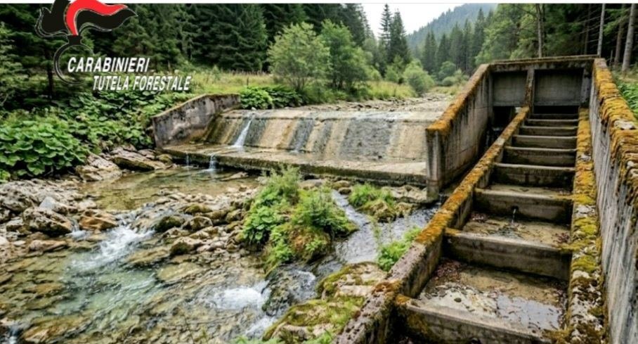 💧Il territorio torinese sta attraversando uno dei periodi di siccità più gravi…
