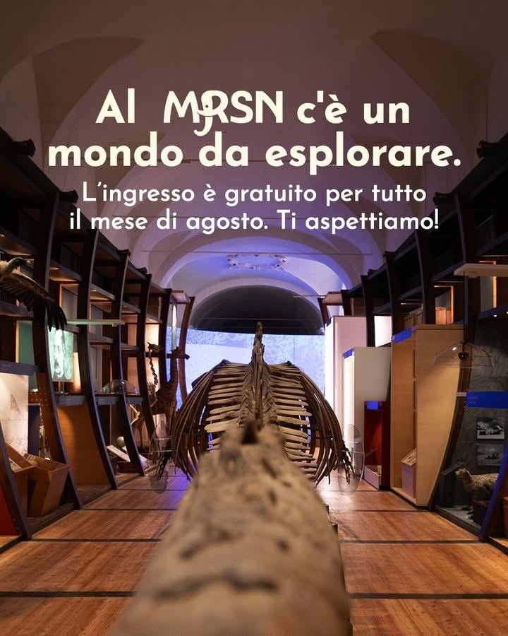 🌿Ad agosto ti aspettiamo al MRSN, l’ingresso è gratuito, anche il giorno di…