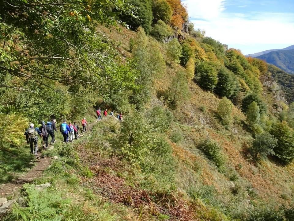 🌿 Alla scoperta del Pinerolese e delle sue Valli Se cerchi un territorio…