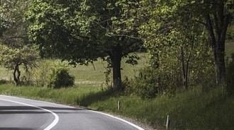🌳Come ogni anno, in vista delle stagioni autunnale e invernale, a tutela della…