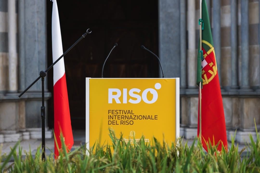 Torna a Vercelli Risò, la seconda edizione del festival che celebra la capitale…