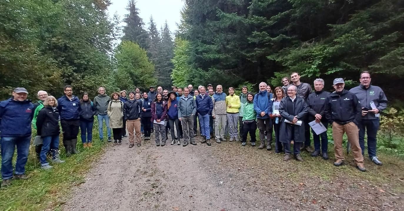 🌿 Recuperare i terreni abbandonati per rendere i territori montani più…