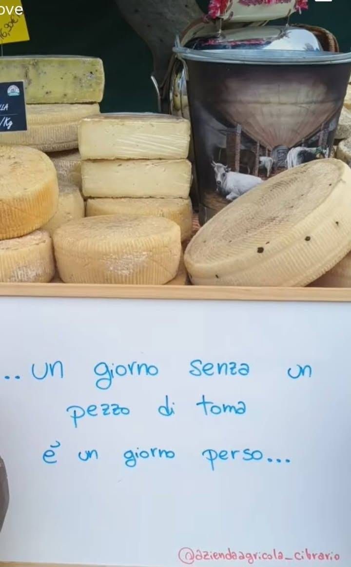 🐮 "Un giorno senza un pezzo di toma, è un giorno perso". A Condove oggi…