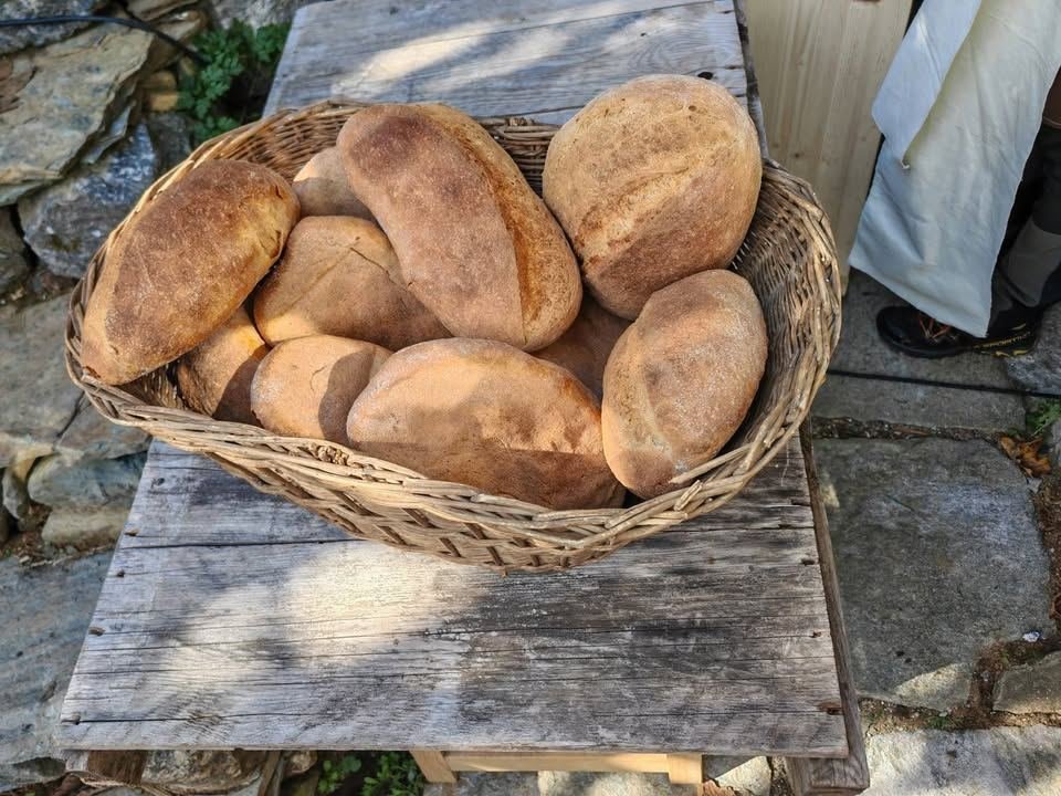 🍞 L'inaugurazione dell'Antico Forno di Boscalera 1878 ha riunito domenica 11…