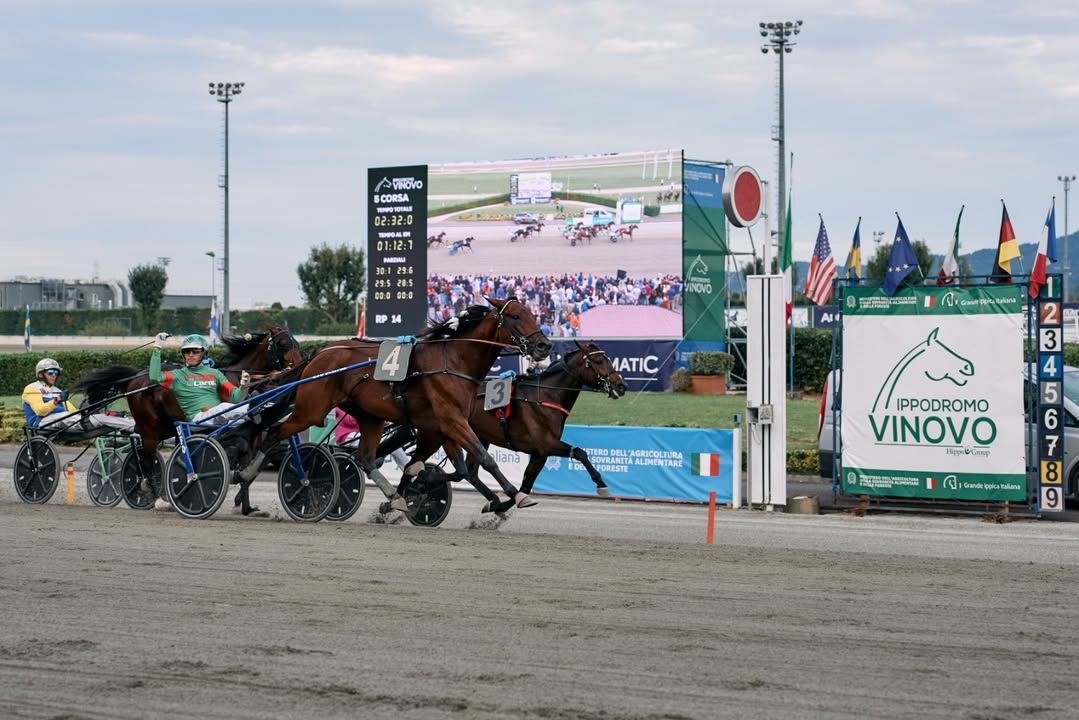 🐴 Nadir Kronos nel 2010 alle Capannelle, Icecerg LP oggi. Sono passarti 16…