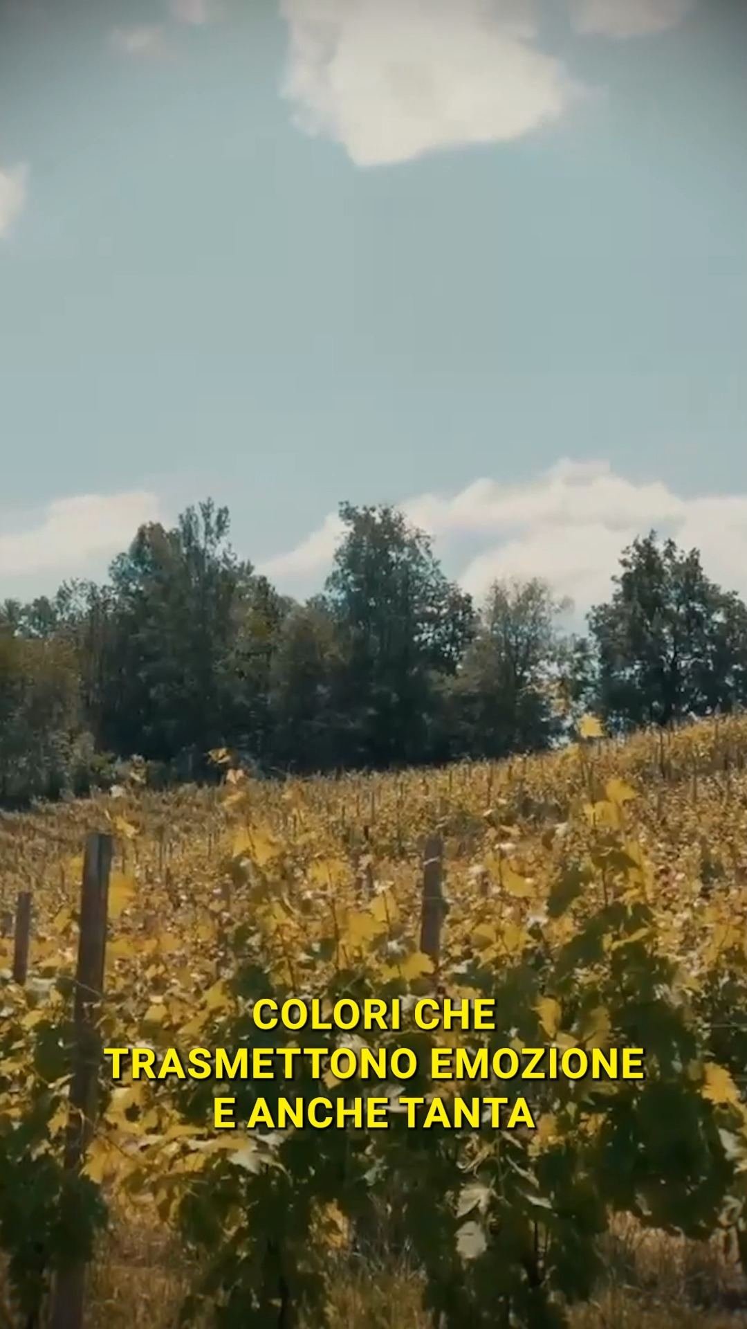 🌿🍫 Alexala: il Piemonte da scoprire, tra natura, gusto e tradizioni al TTG…