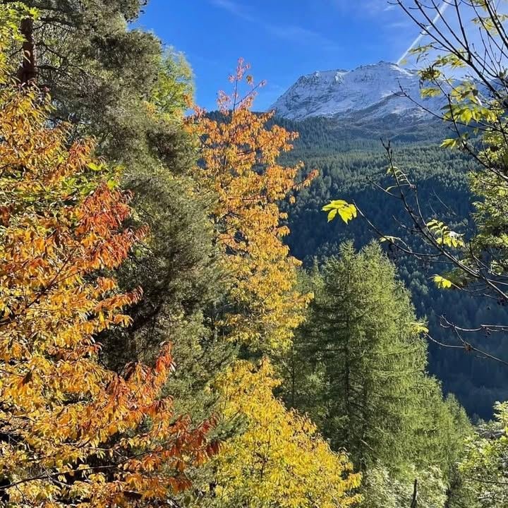 Spettacolo delle stagioni Foto Eleonora