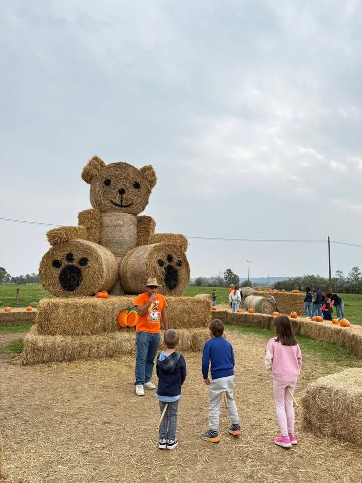 🍁🎃 Il Villaggio della Zucca riapre le sue porte! 📍Nel verde del Canavese in una…