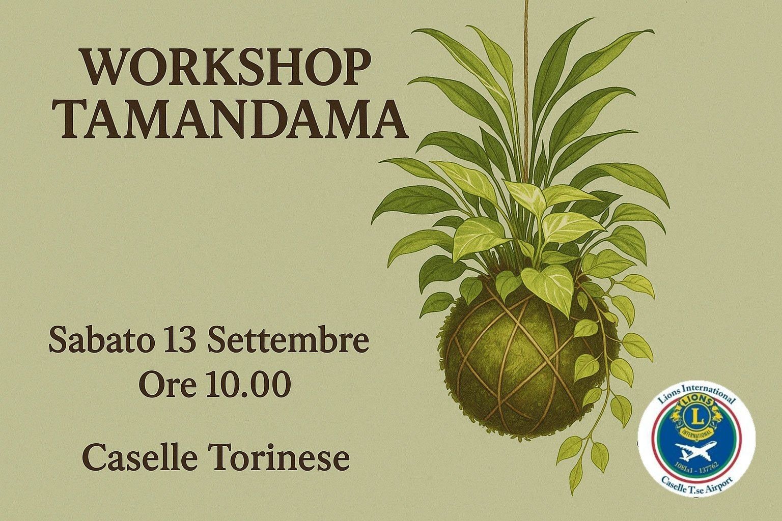 🌿 Porta a casa il tuo giardino sospeso: arriva il Workshop Tamandama del Lions Club Caselle Torinese Airport