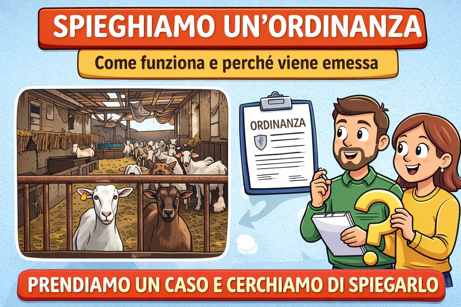 80 capre senza gestione: ordinanza urgente del Sindaco per rischio sanitario
