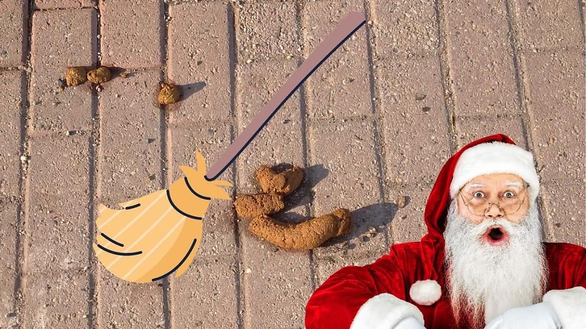Via le cacche di cane dai marciapiedi: parte la pulizia straordinaria per Natale