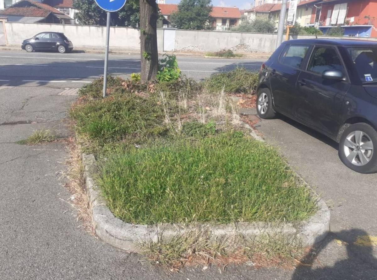 ParkinGo risarcisce i residenti di piazza Merlo tagliando l'erba e ripulendo le aiuole