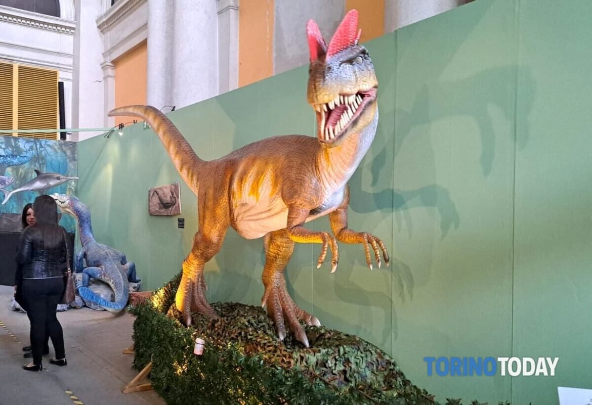 Le 3 mostre da non perdere a Torino a marzo 2024