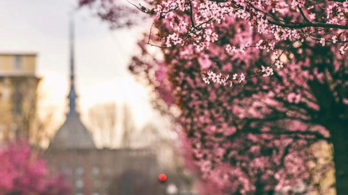 Freddo di primavera, crollano le temperature: rischio gelate in pianura