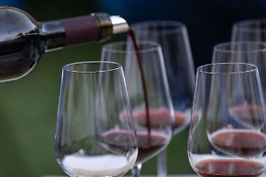 Vino e cultura si fondono nelle strade di Pinerolo: un viaggio tra calici e storia