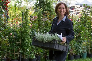 Ecco i segreti per un pollice verde perfetto