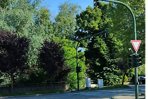 Semaforo spento da una settimana: «Per ripararlo ci deve scappare il morto?»