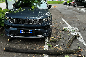 Un grosso tronco cade sopra una Jeep: «E se avesse colpito un bambino?»
