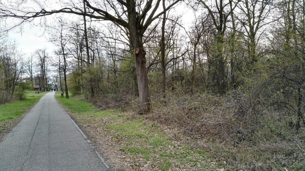 Nascondevano cocaina nel boschetto di Nichelino, due arresti a Torino