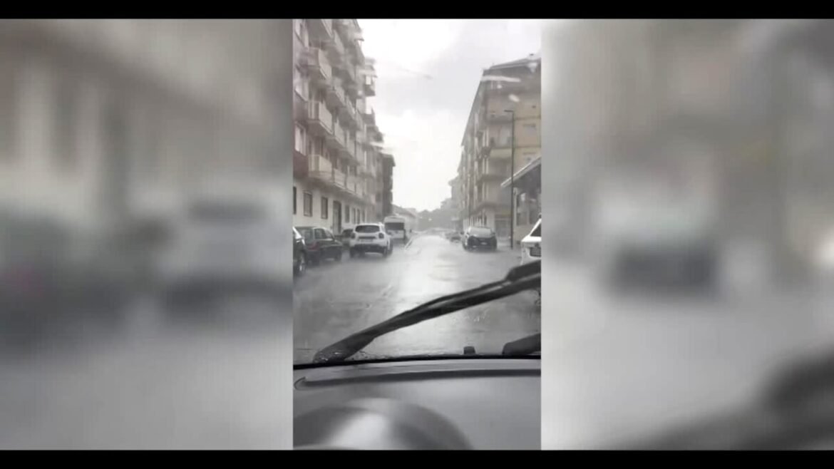 VIDEO | Maltempo a Torino, ironia social: cassonetti galleggianti e nani da giardino allagati