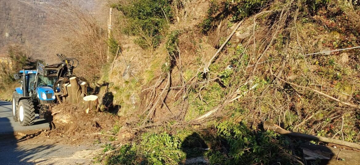 471492794_982845007212301_3874628353323076866_n